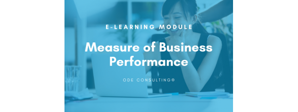 e-Learning module: Measure of Business Performance